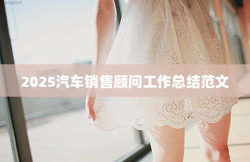 2025汽车销售顾问工作总结范文
