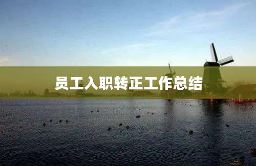 员工入职转正工作总结