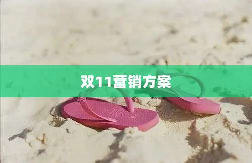 双11营销方案