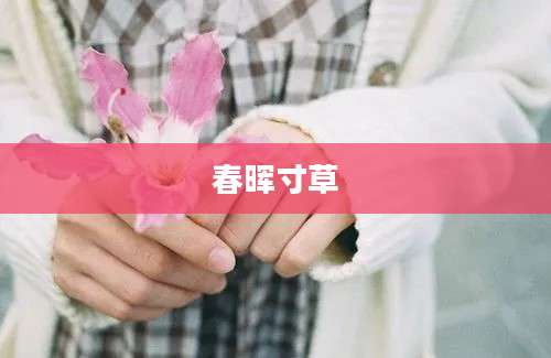 春晖寸草