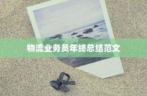 物流业务员年终总结范文