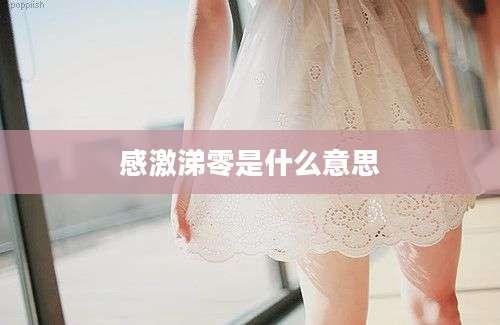 感激涕零是什么意思