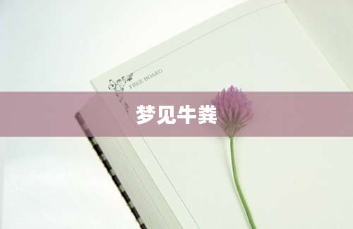 梦见牛粪