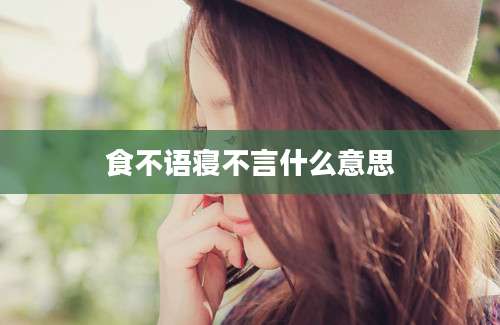 食不语寝不言什么意思