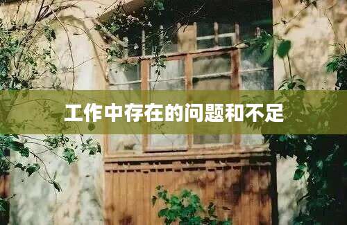 工作中存在的问题和不足