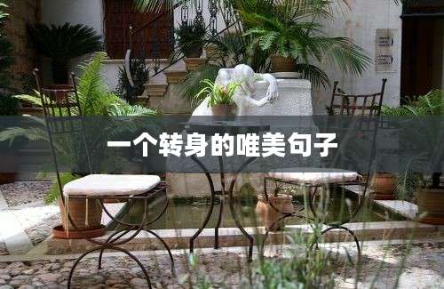 一个转身的唯美句子