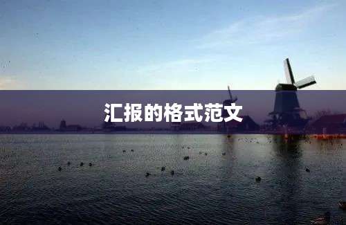汇报的格式范文