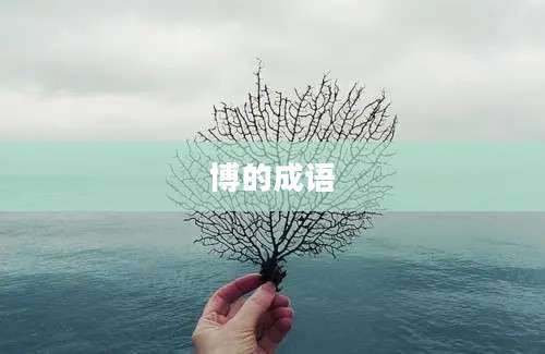 博的成语
