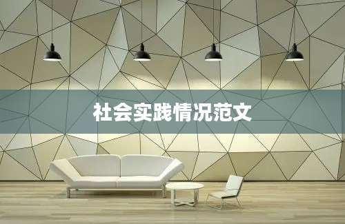 社会实践情况范文