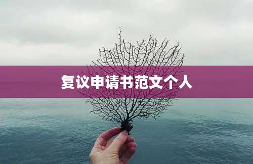 复议申请书范文个人