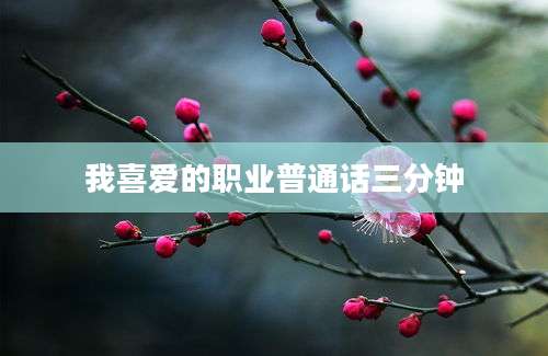 我喜爱的职业普通话三分钟