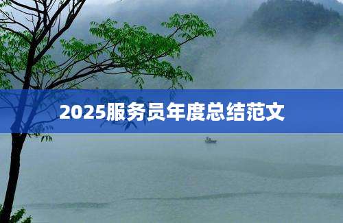 2025服务员年度总结范文