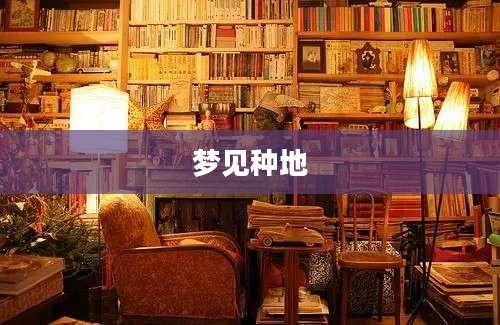 梦见种地