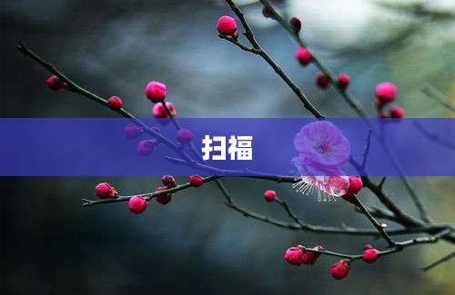 扫福