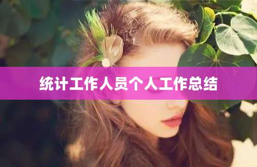 统计工作人员个人工作总结