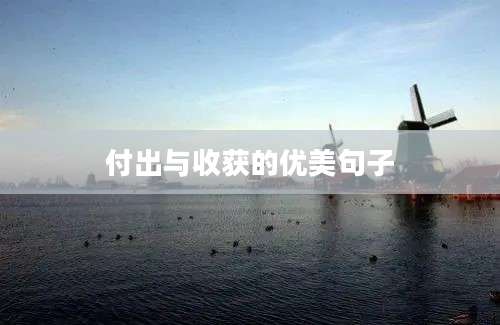 付出与收获的优美句子