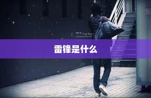 雷锋是什么