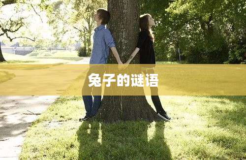 兔子的谜语