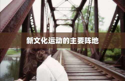 新文化运动的主要阵地