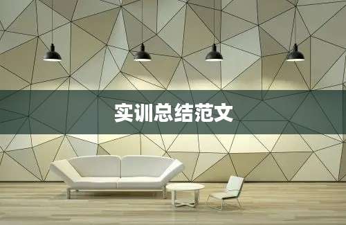 实训总结范文