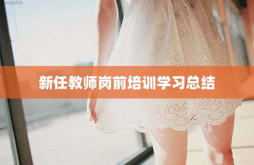 新任教师岗前培训学习总结