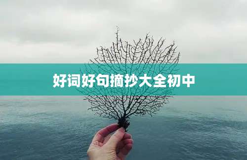 好词好句摘抄大全初中