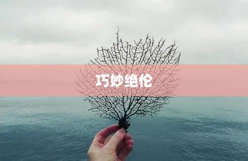巧妙绝伦