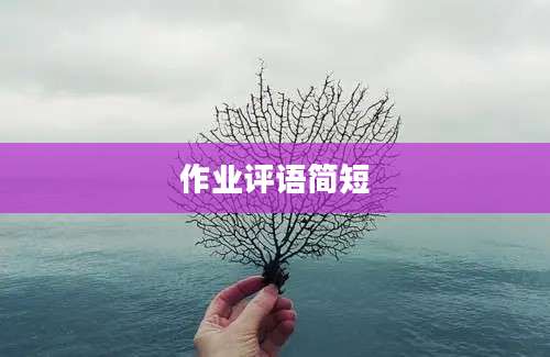 作业评语简短