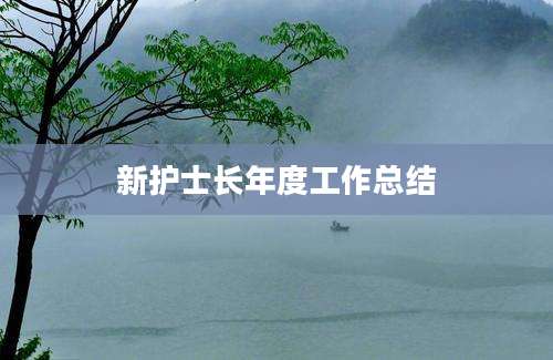 新护士长年度工作总结