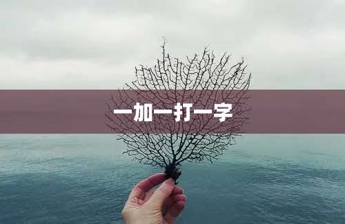 一加一打一字
