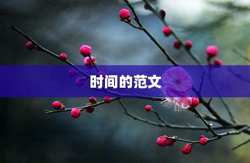 时间的范文