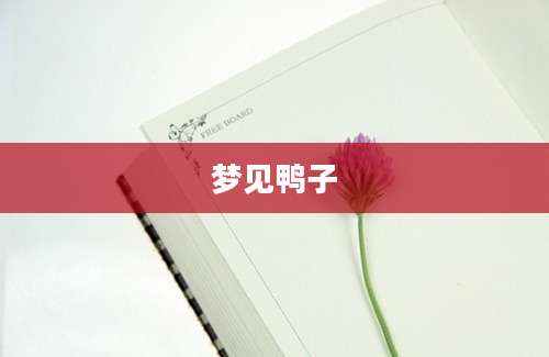 梦见鸭子