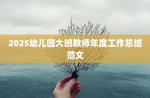 2025幼儿园大班教师年度工作总结范文
