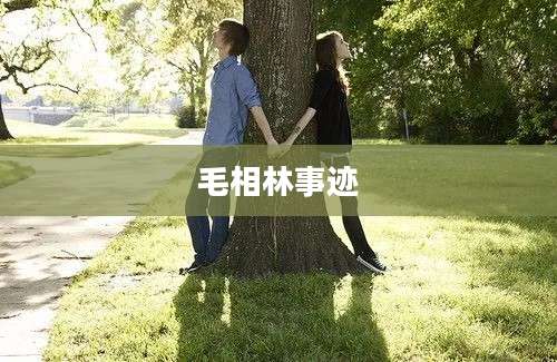 毛相林事迹