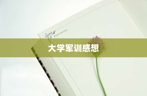 大学军训感想