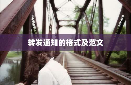 转发通知的格式及范文
