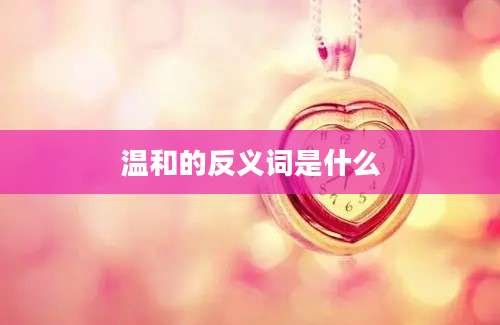 温和的反义词是什么