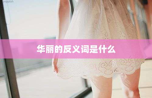 华丽的反义词是什么