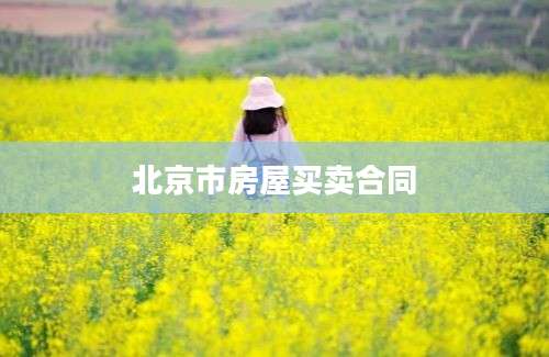 北京市房屋买卖合同