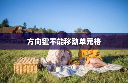 方向键不能移动单元格