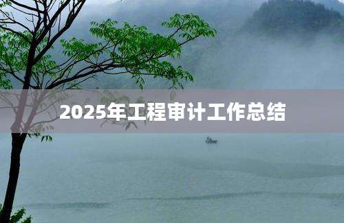 2025年工程审计工作总结