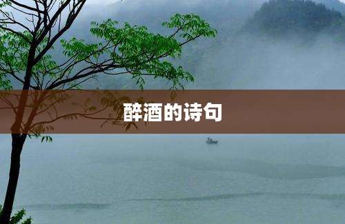 醉酒的诗句