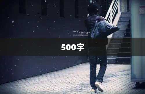 500字