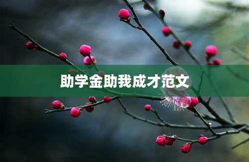 助学金助我成才范文