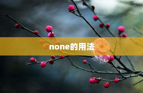 none的用法