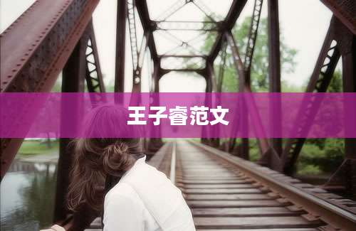 王子睿范文