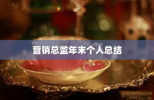 营销总监年末个人总结