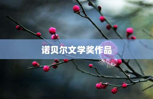 诺贝尔文学奖作品