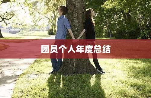 团员个人年度总结