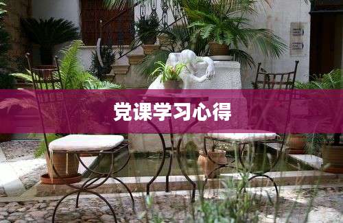 党课学习心得